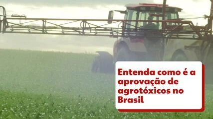 Recorde de Agrotóxicos e Defensivos Biológicos em 2025: Brasil Libera 912 Novos Produtos com Aumento de 37%