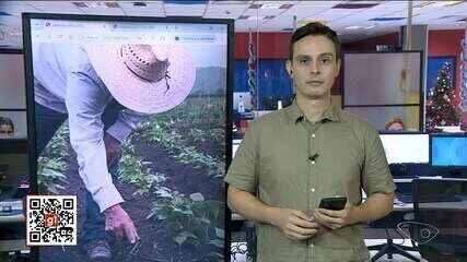 Espírito Santo em Alta: R$ 106 Bilhões Impulsionam Obras e Indústria Capixaba até 2029